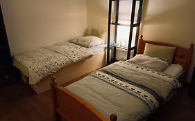 Loft Viarhona, Grand Loft En Centre-Ville